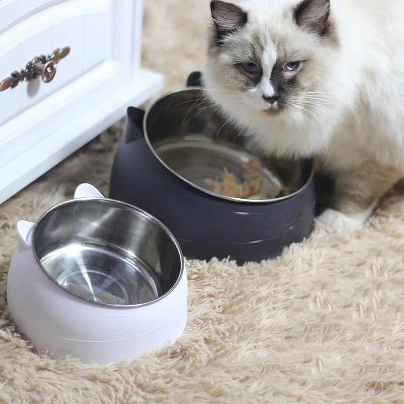 Pet Water Dispenser Feeder