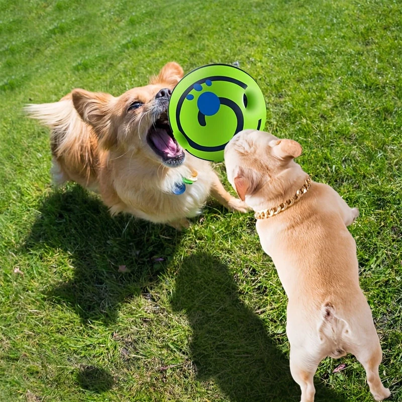 Squeaky Giggle Wobble Ball