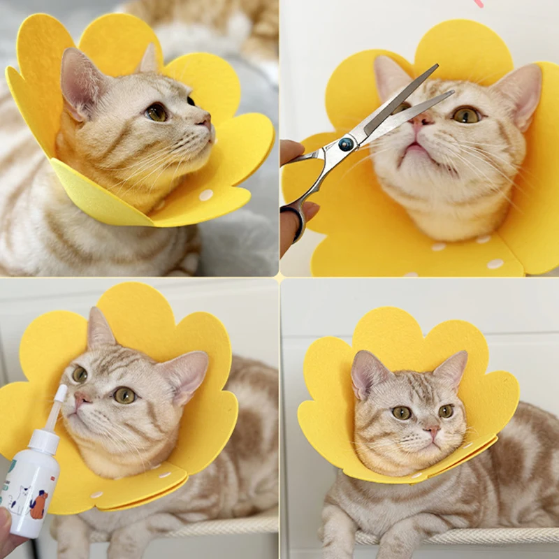 Pet Anti Bite Licking Collar