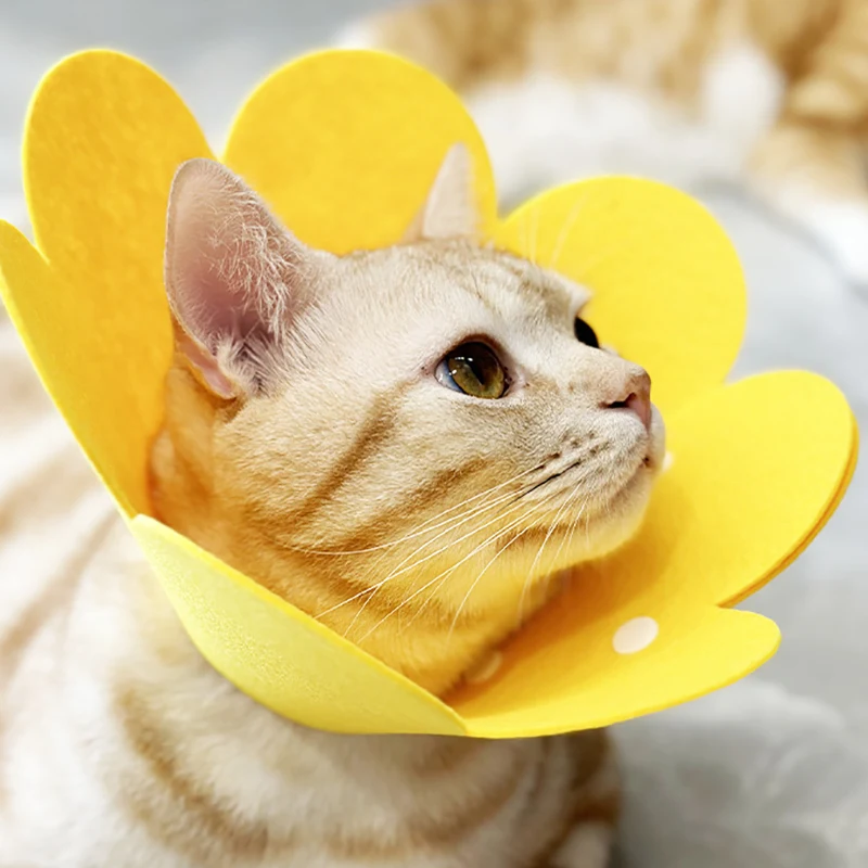 Pet Anti Bite Licking Collar