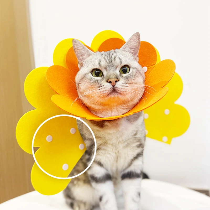 Pet Anti Bite Licking Collar