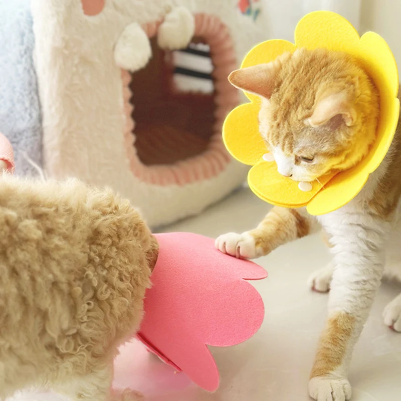 Pet Anti Bite Licking Collar