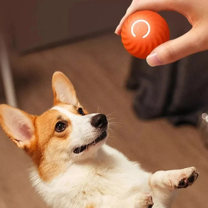 Dog Smart Toy Ball Bounce Ball