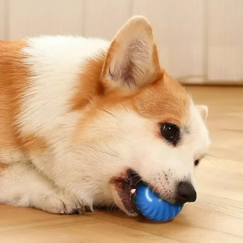 Dog Smart Toy Ball Bounce Ball