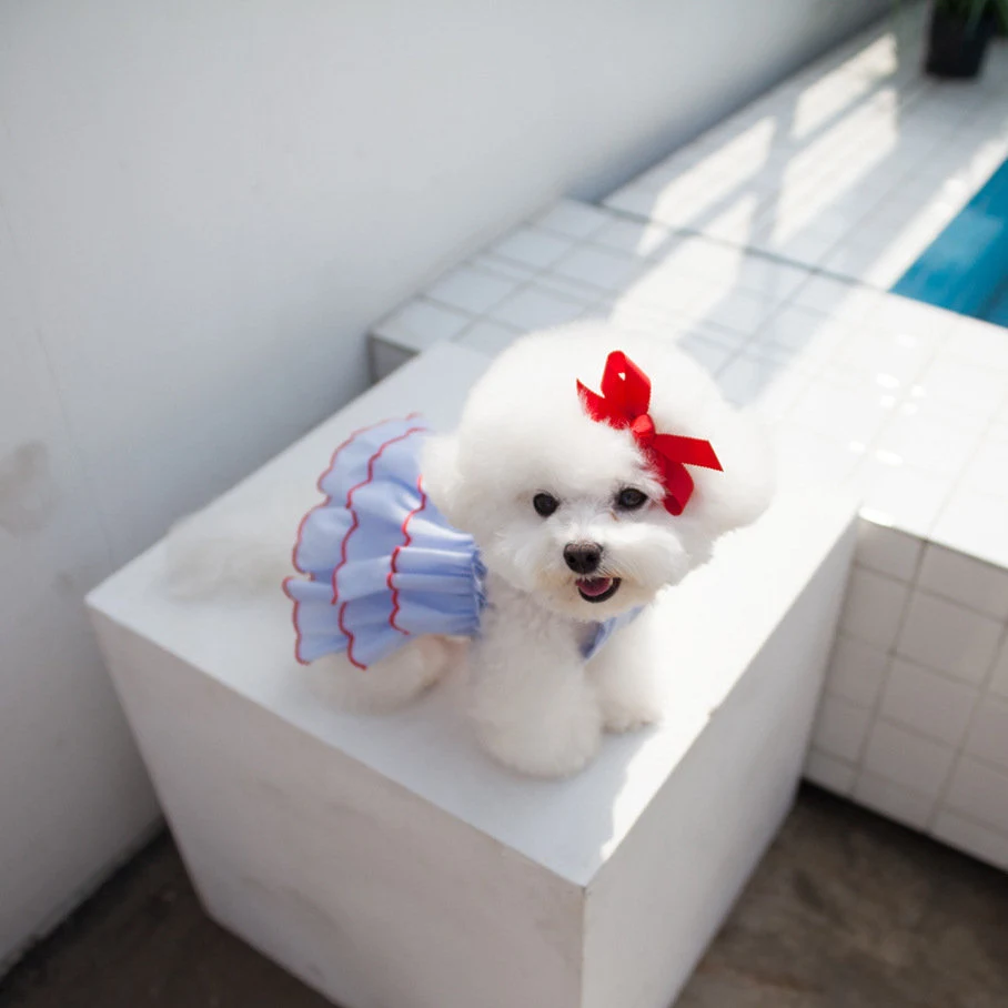 Pet Summer Princess Dress