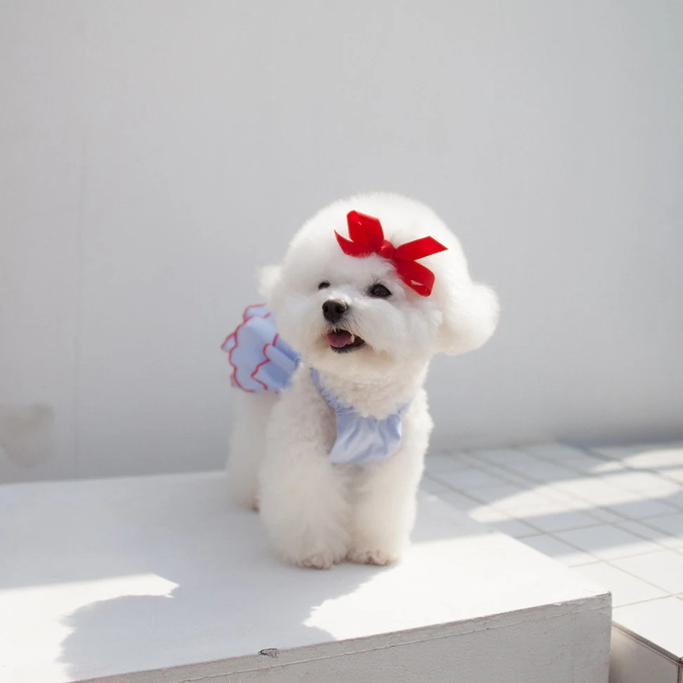 Pet Summer Princess Dress
