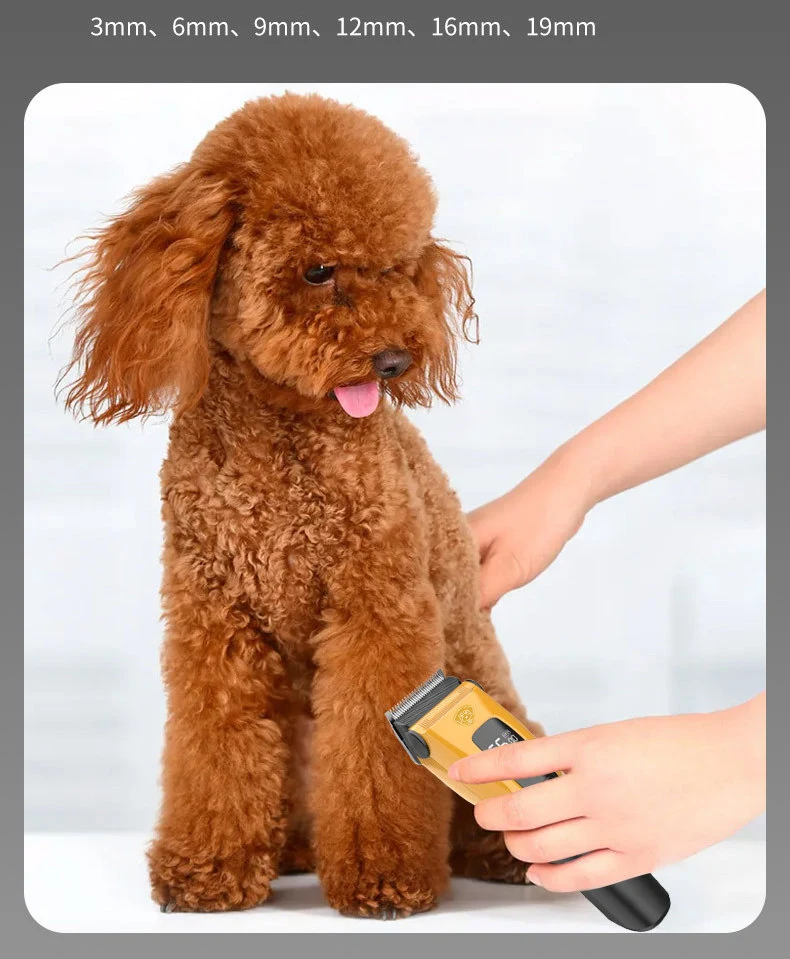 Professional Pet Electric Clipper