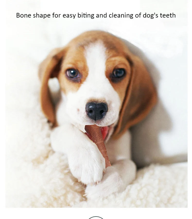 Anti Bite Dog Snacks