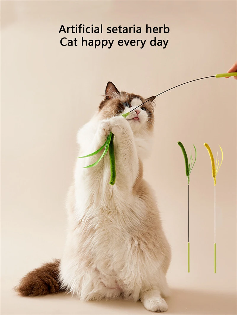 Cat Teasing Stick Bite Resistant Long Pole Self Soothing Tool
