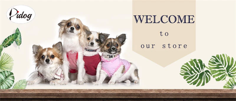 Portable Pet Training Toilet