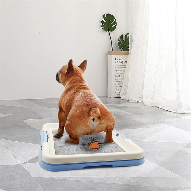 Portable Pet Training Toilet