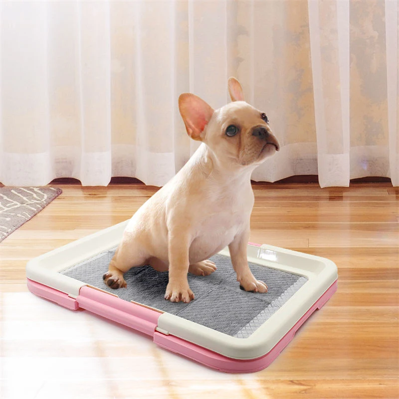 Portable Pet Training Toilet