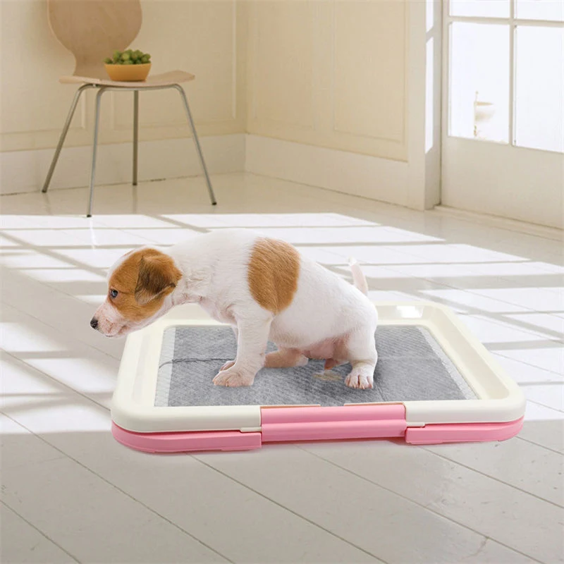 Portable Pet Training Toilet