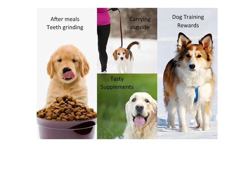 Dog Snacks Tooth Extraction Stick