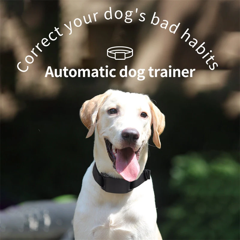Safe Anti-static Dog Bark Collar
