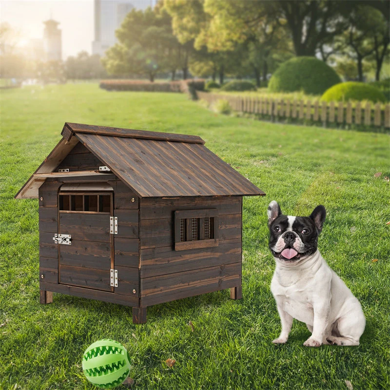 Dog House With Doors And Windows