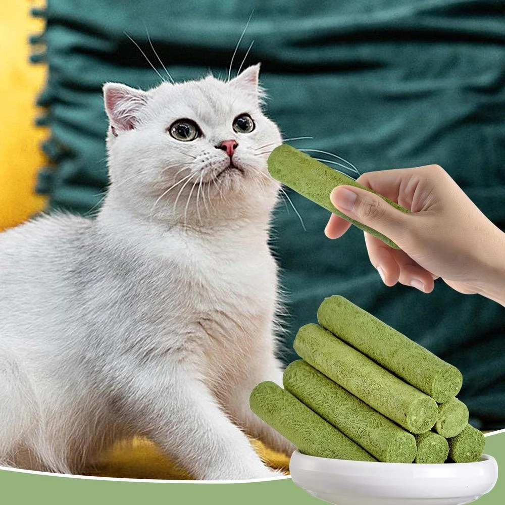 Cat Grass Teething Sticks