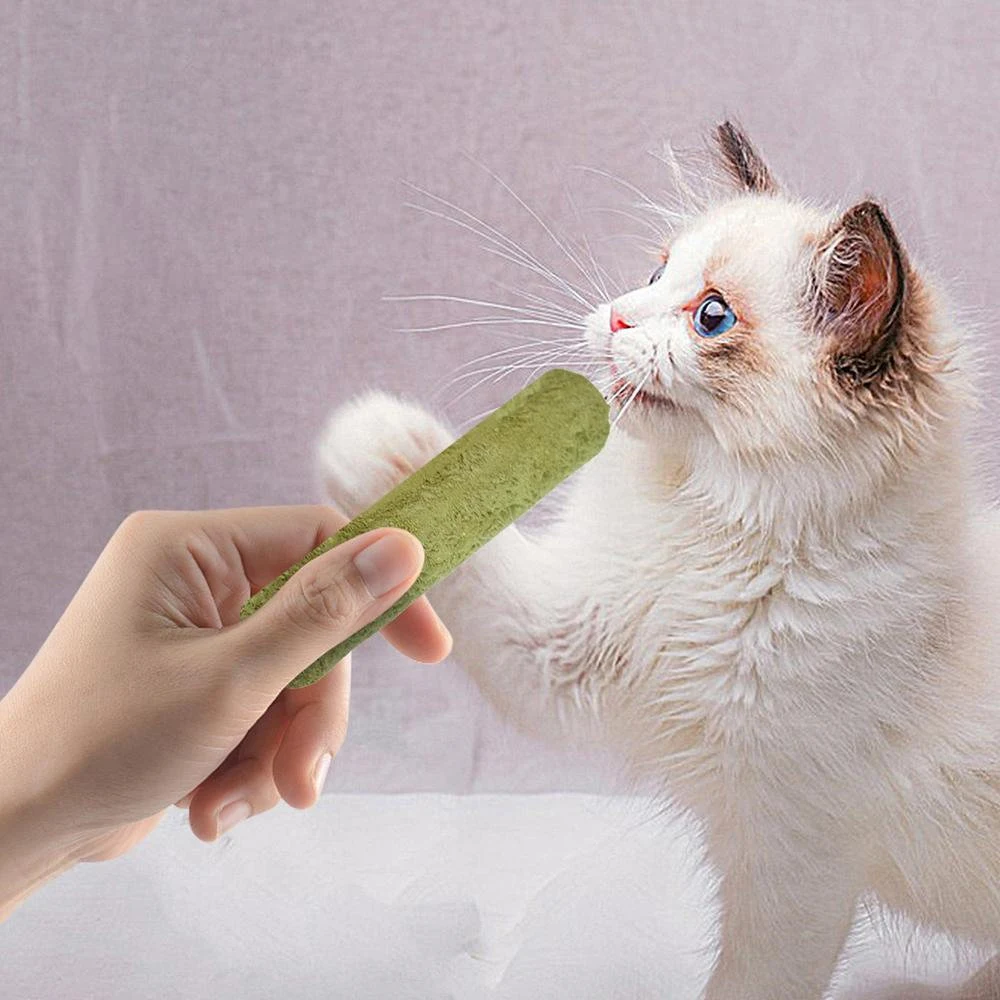 Cat Grass Teething Sticks