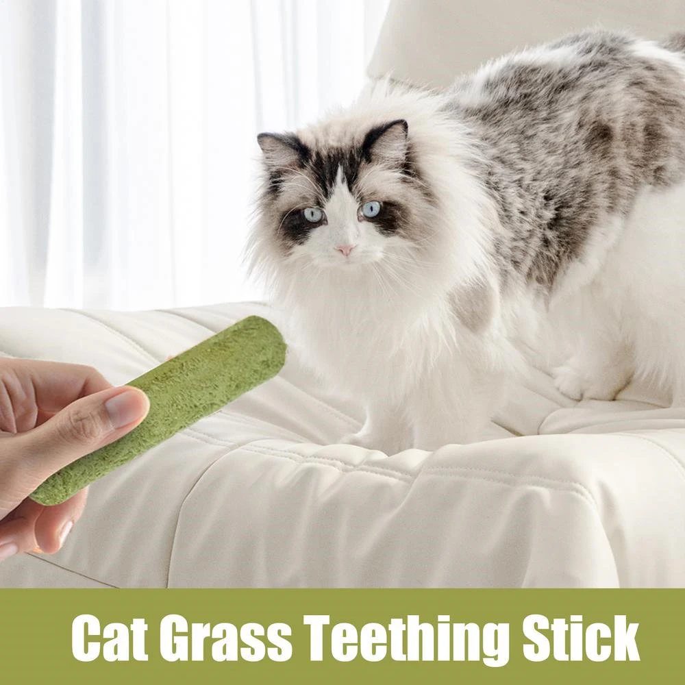 Cat Grass Teething Sticks
