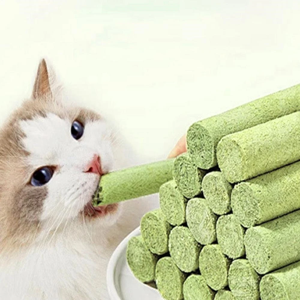 Cat Grass Teething Sticks