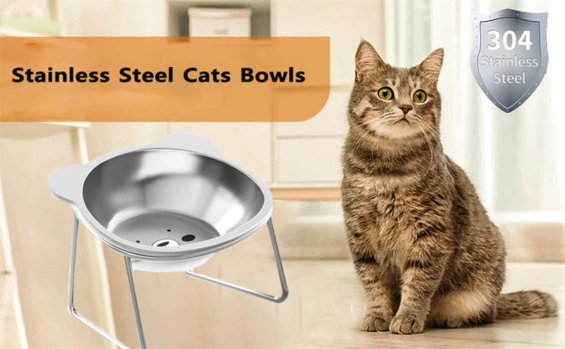 Relieve Beard Fatigue With Stainless Steel Cat Bowl