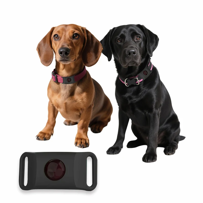 Natural Pets Anti Flea Tick Essential Oil Pendant