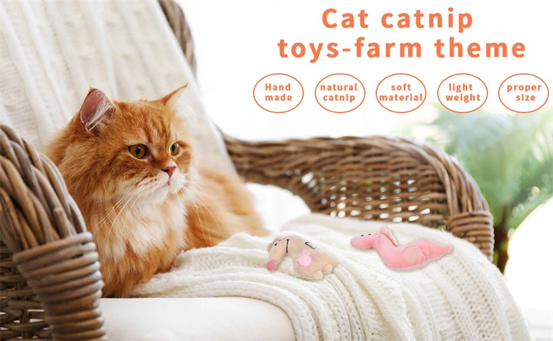 Cat Bite Self Play Toy Set Of 6 Pcs