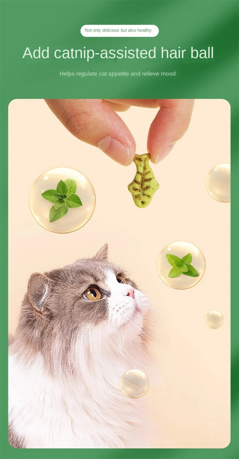 Catnip Biscuits And Snacks