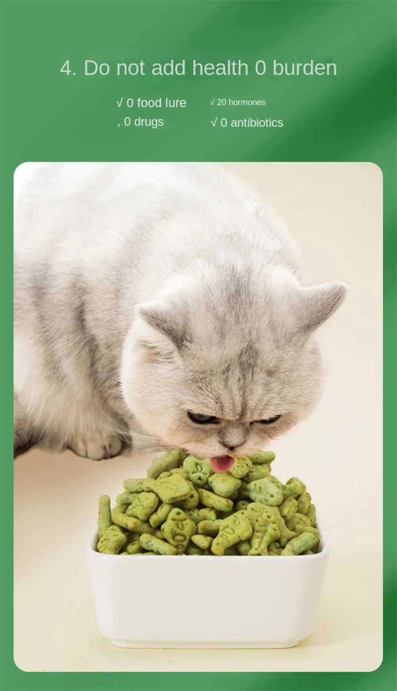 Catnip Biscuits And Snacks