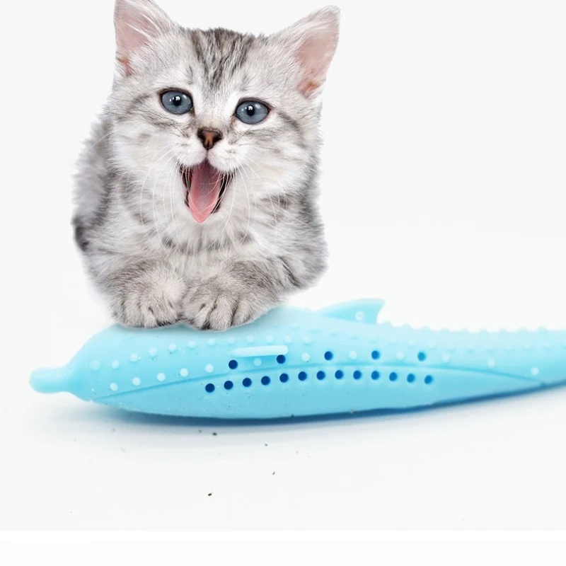 Kitten Fun Bite Playmate