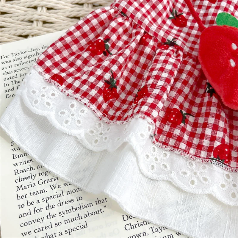 Cute Strawberry Checkered Pet Dress