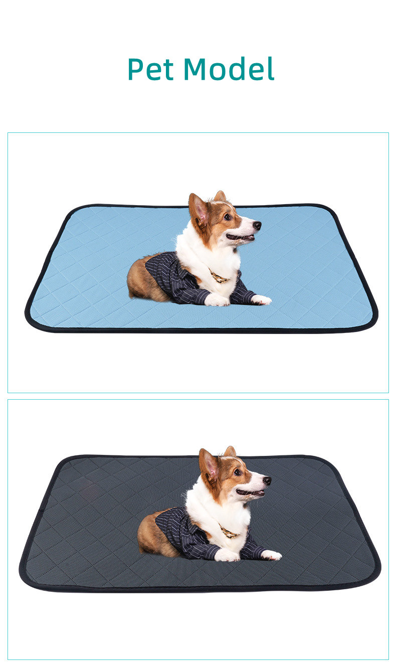 Pet Waterproof Urine Pad