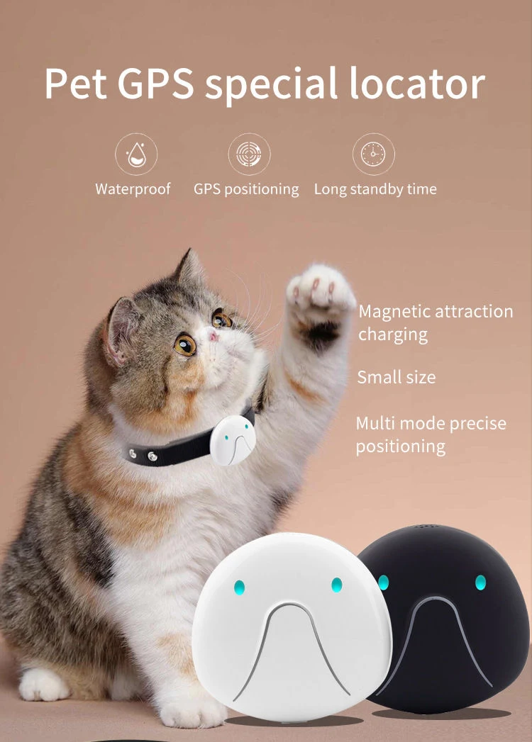 Cat And Dog Specific Positioning Anti Loss Device