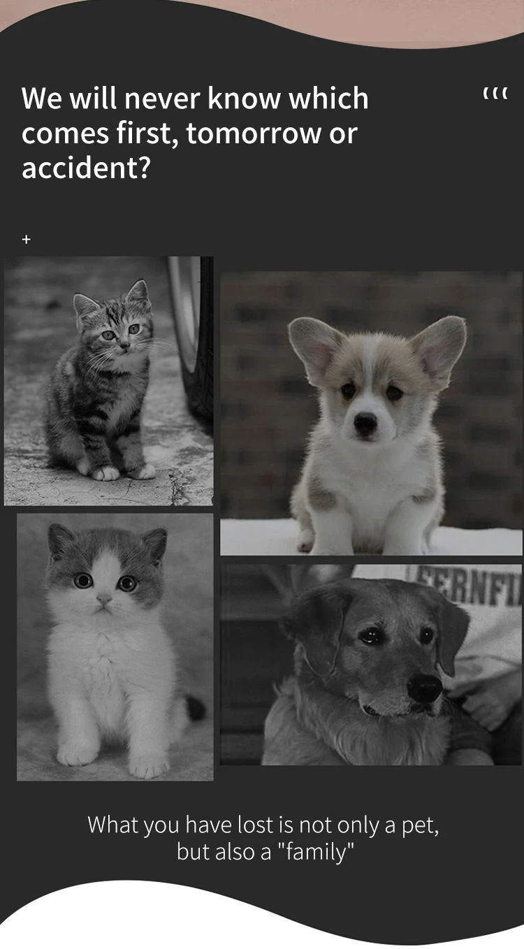 Cat And Dog Specific Positioning Anti Loss Device