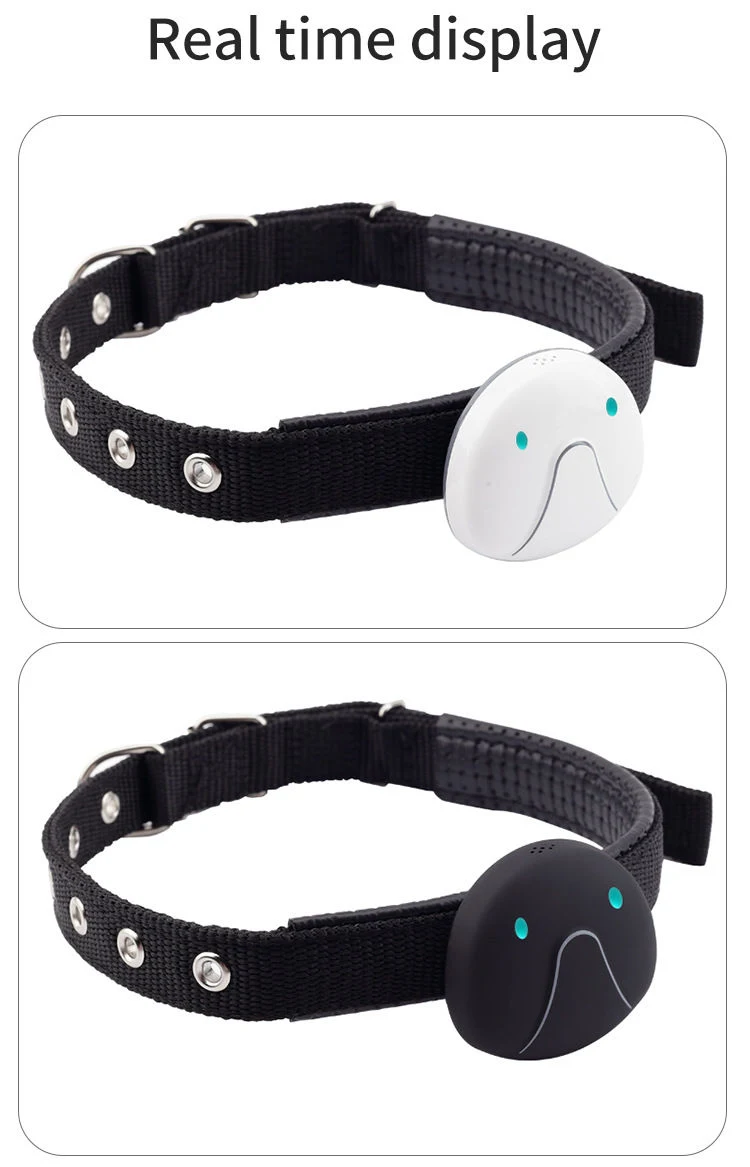 Cat And Dog Specific Positioning Anti Loss Device