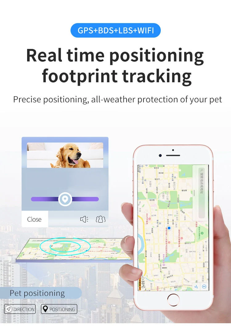 Cat And Dog Specific Positioning Anti Loss Device