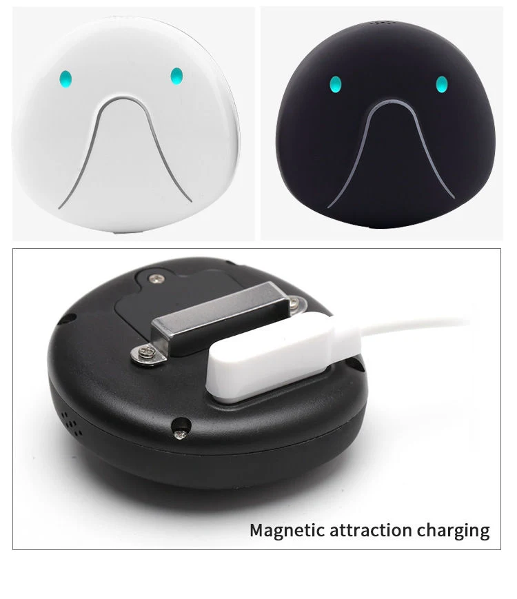 Cat And Dog Specific Positioning Anti Loss Device