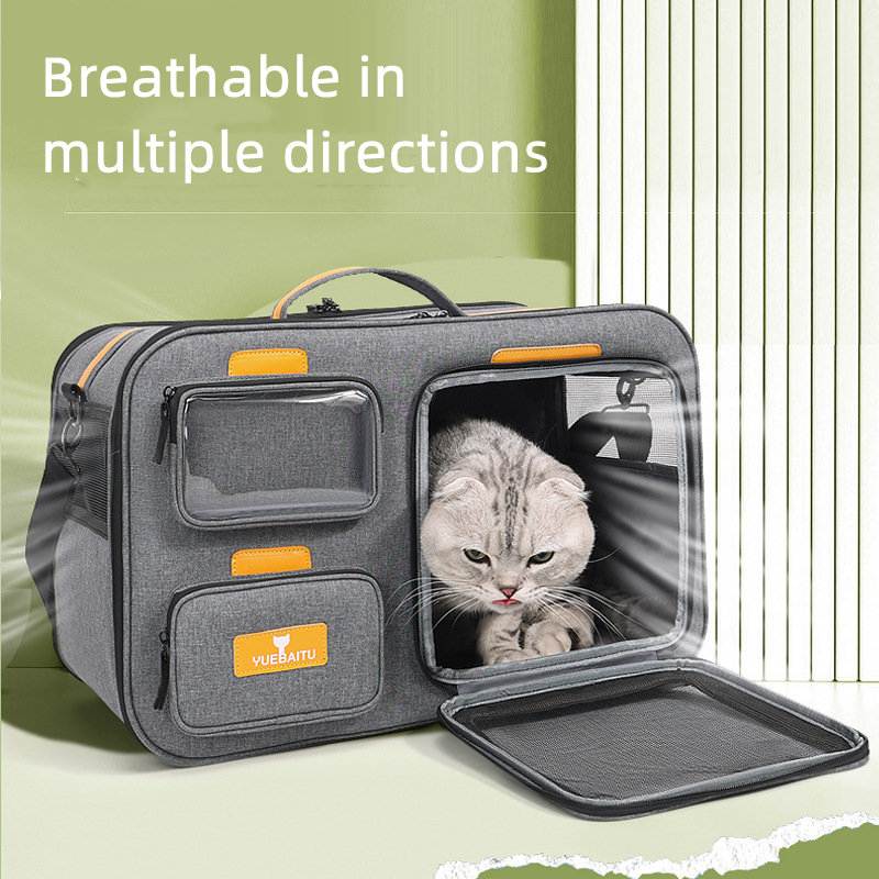 Cat Outdoor Portable Case